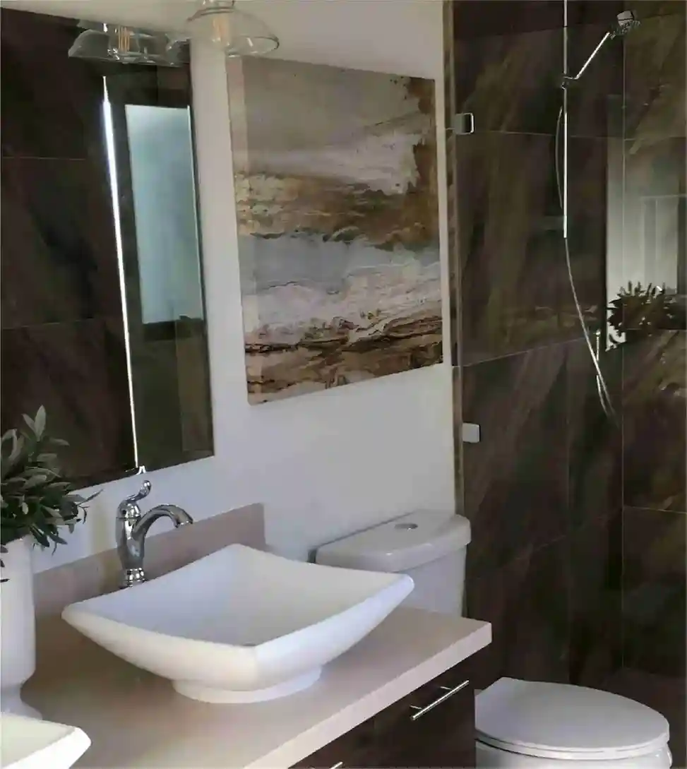 danz construction services